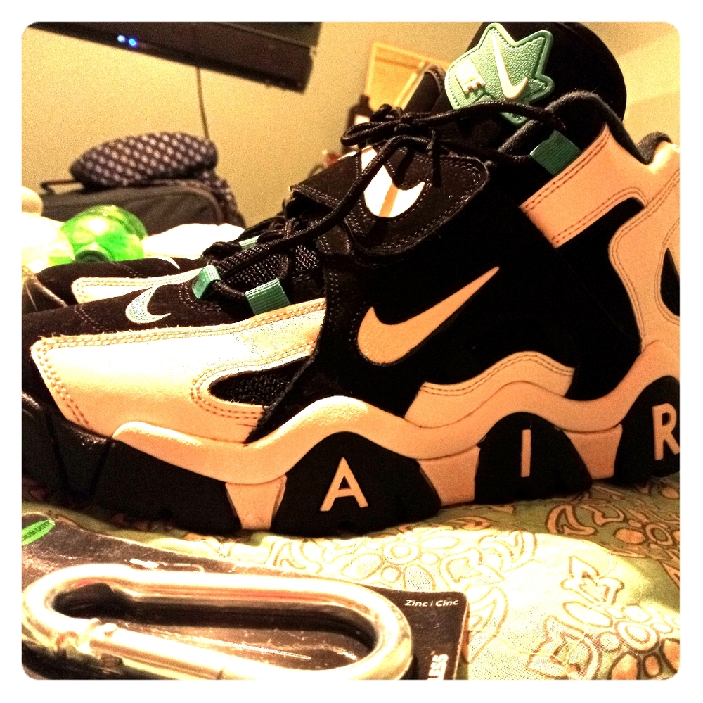 Charlotte Hornets Nike AIR